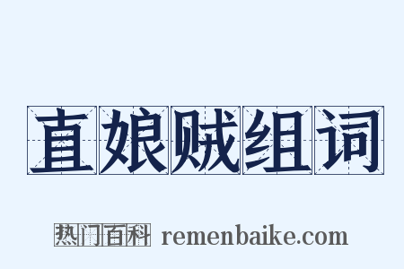 直娘贼组词是什么意思的图片